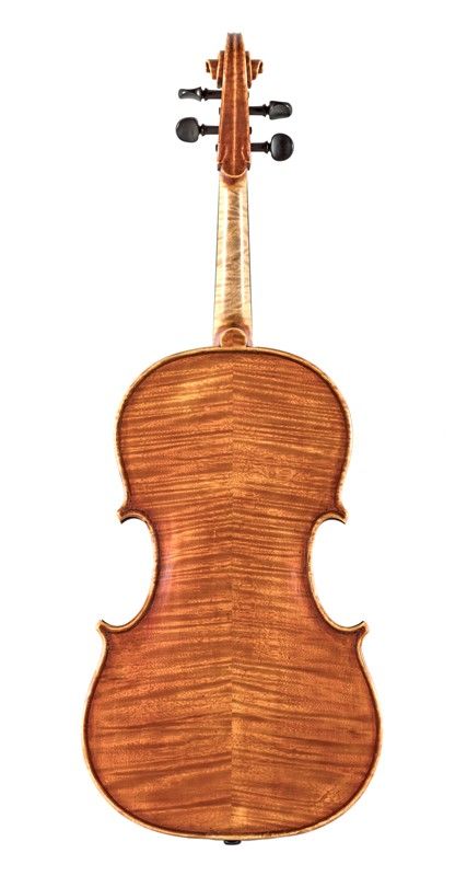 Viola