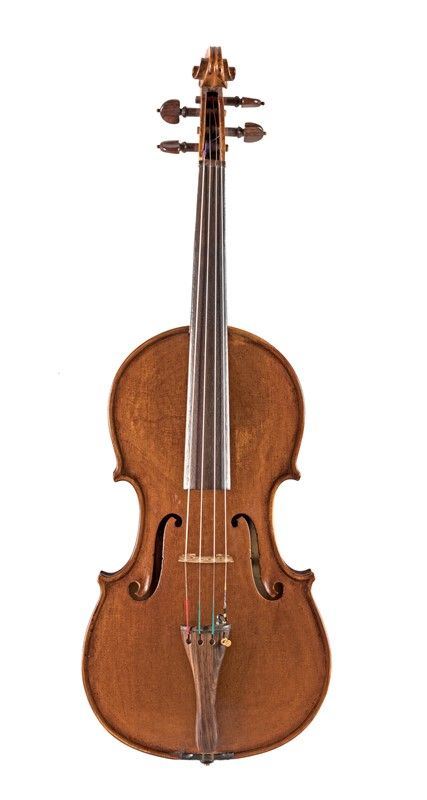 Viola