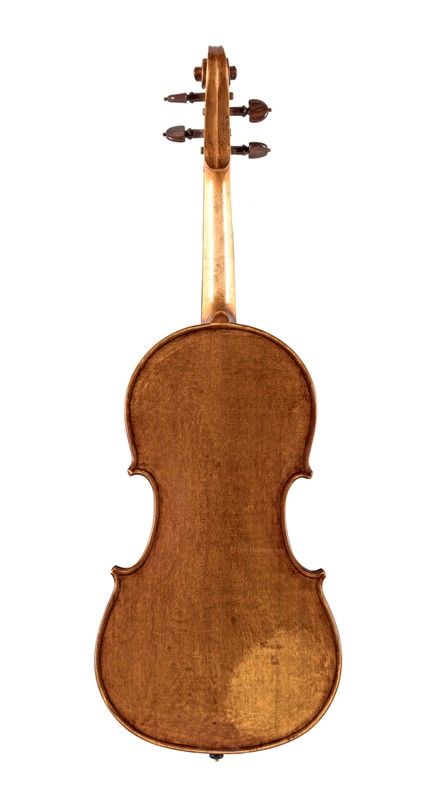 Viola