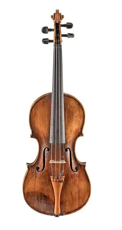 Violino