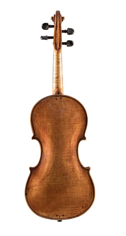Violino
