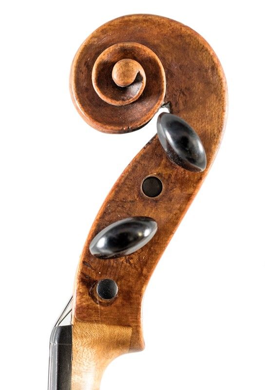 Violino