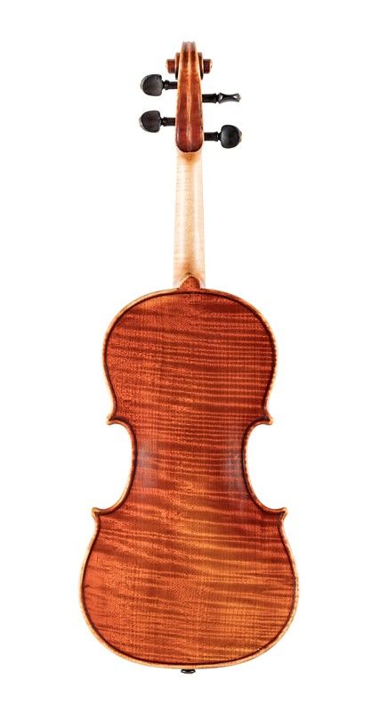 Violino