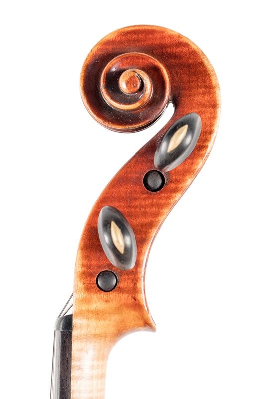 Violino