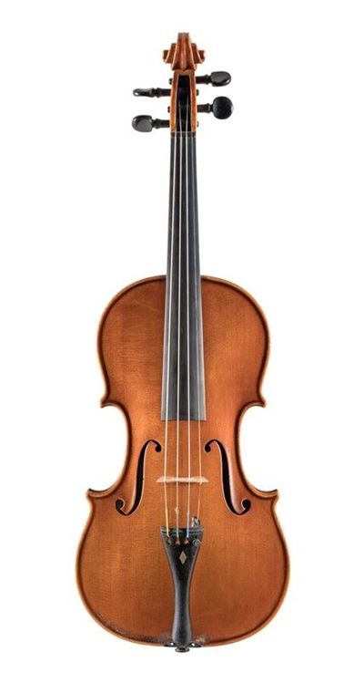 Violino