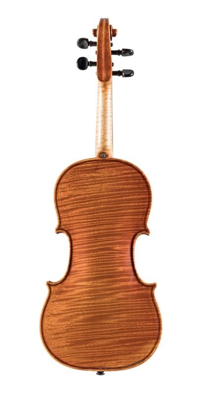 Violino