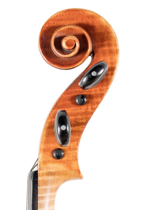 Violino