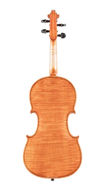 Violino, 1964