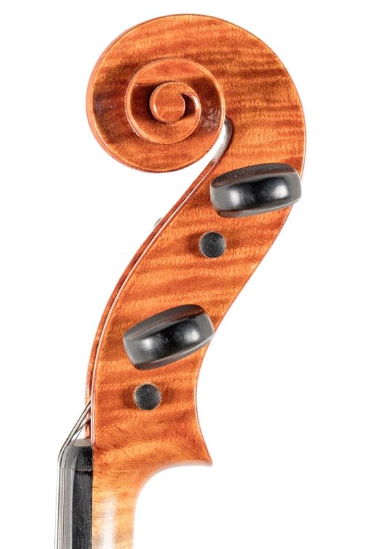 Violino, 1964