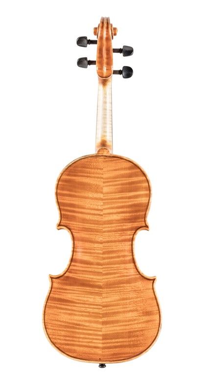 Violino
