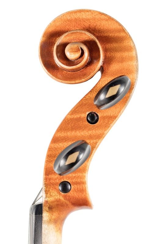 Violino
