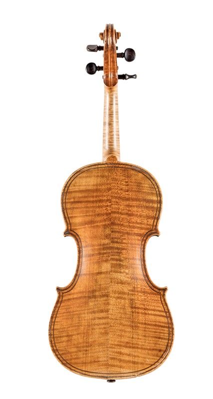 Violino