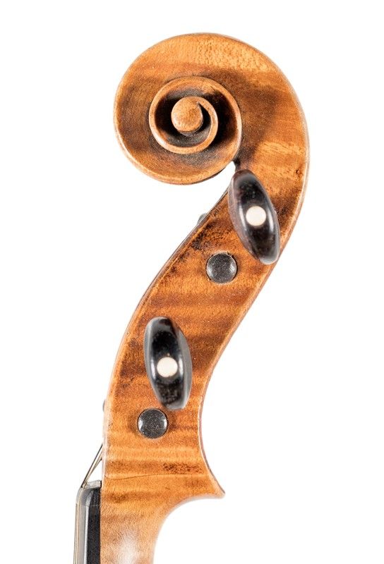 Violino