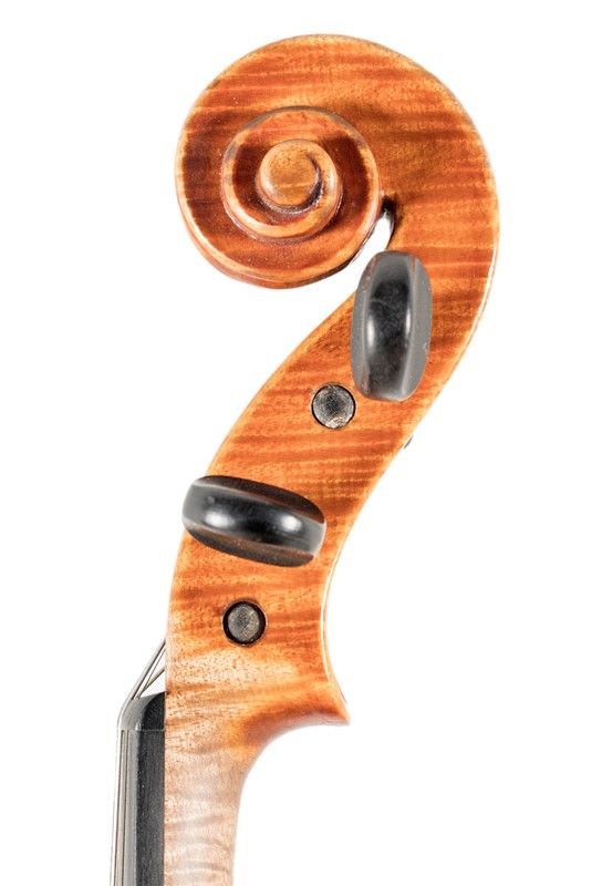 Violino, 1956