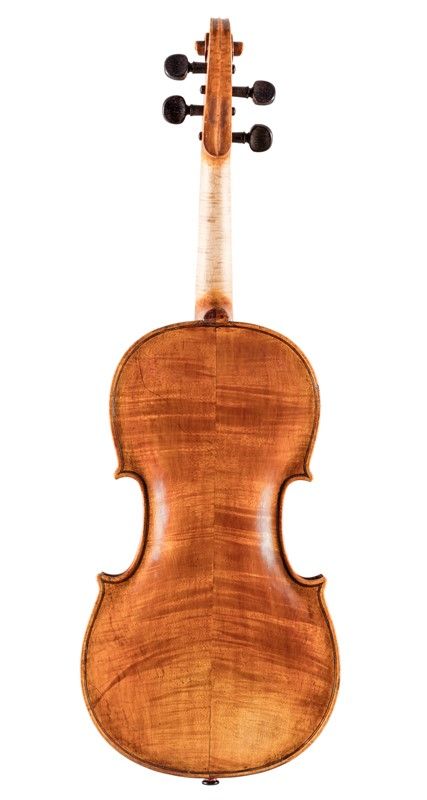 Violino