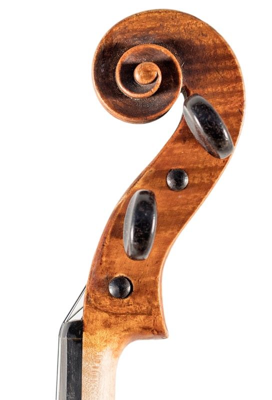 Violino