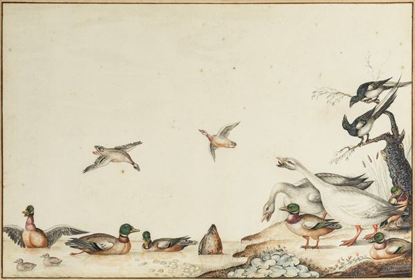 Nicolaas Struyk - Veduta con uccelli acquatici