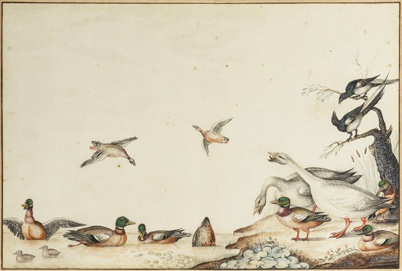 Nicolaas Struyk - Veduta con uccelli acquatici