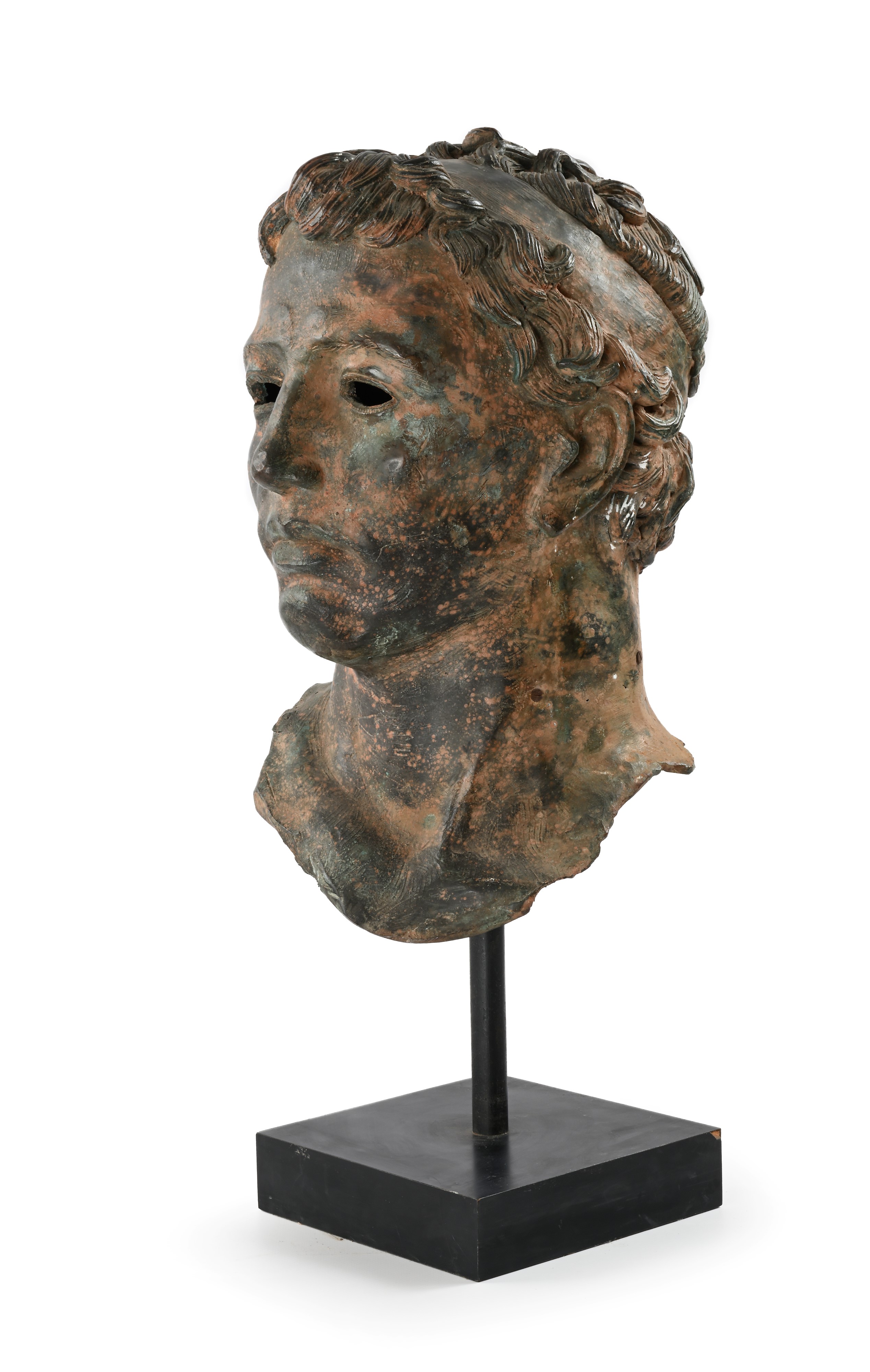 Testa virile, bronzo a patina scura, XIX secolo