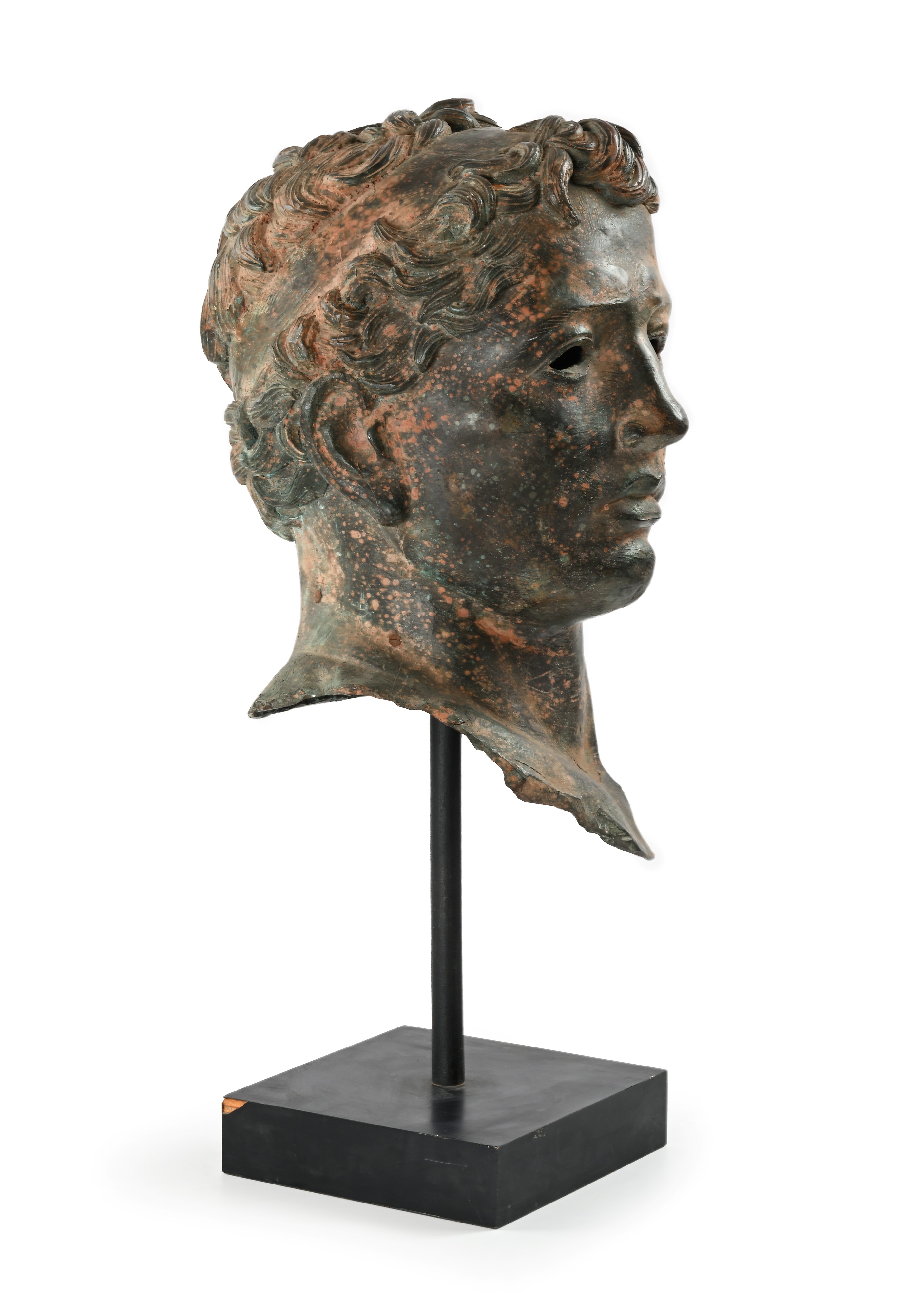 Testa virile, bronzo a patina scura, XIX secolo