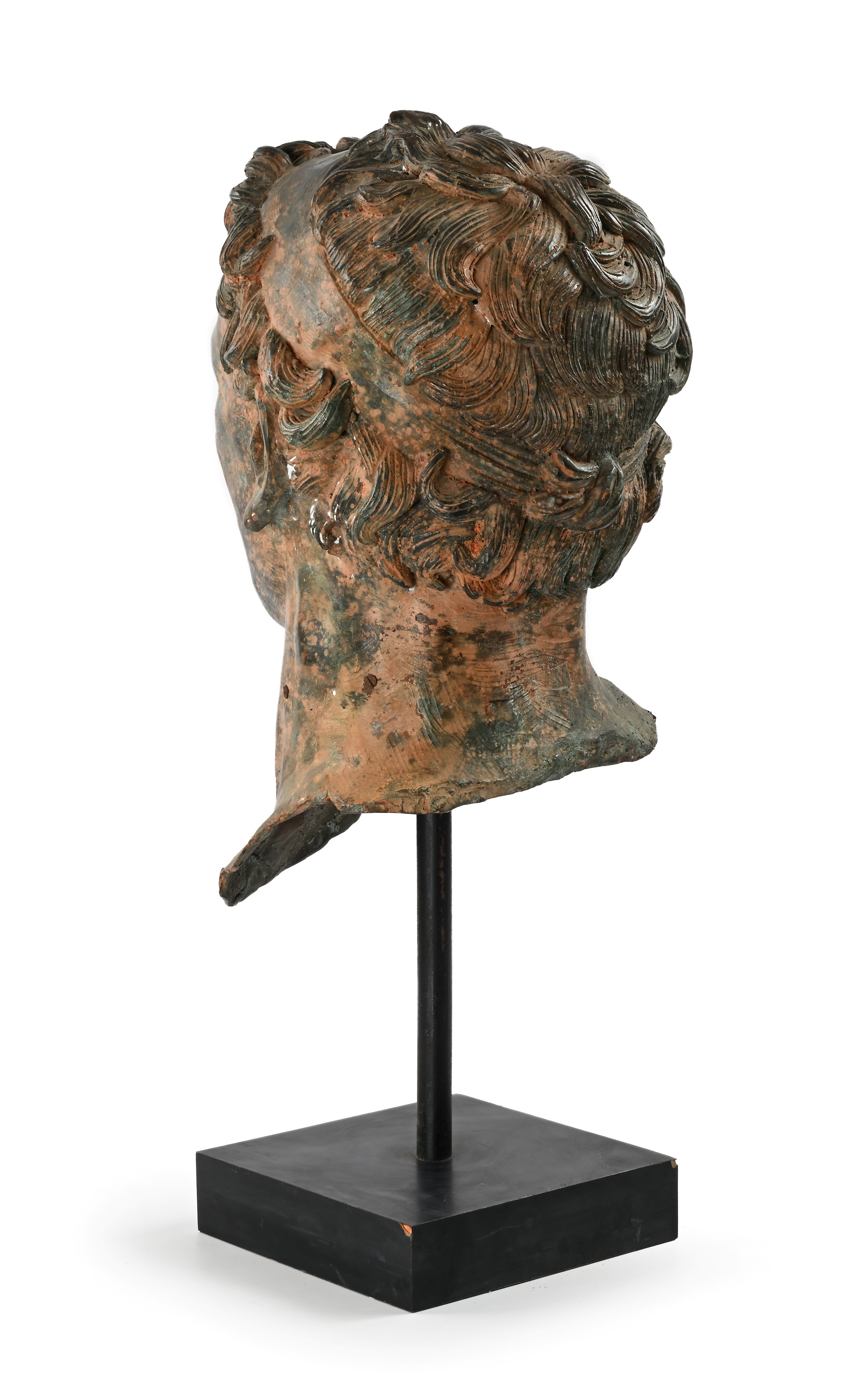 Testa virile, bronzo a patina scura, XIX secolo