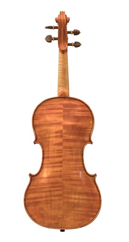 Violino Etichetta Parravicini