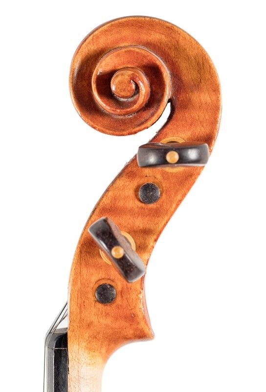 Violino Etichetta Parravicini