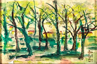 Boscaglia Urbana