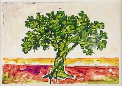 Albero