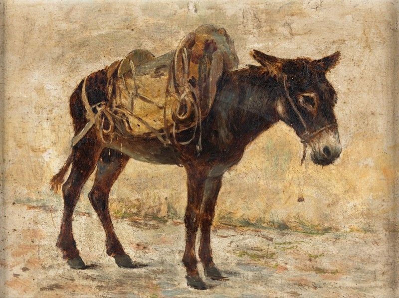 Nazareno Cipriani - Asinello