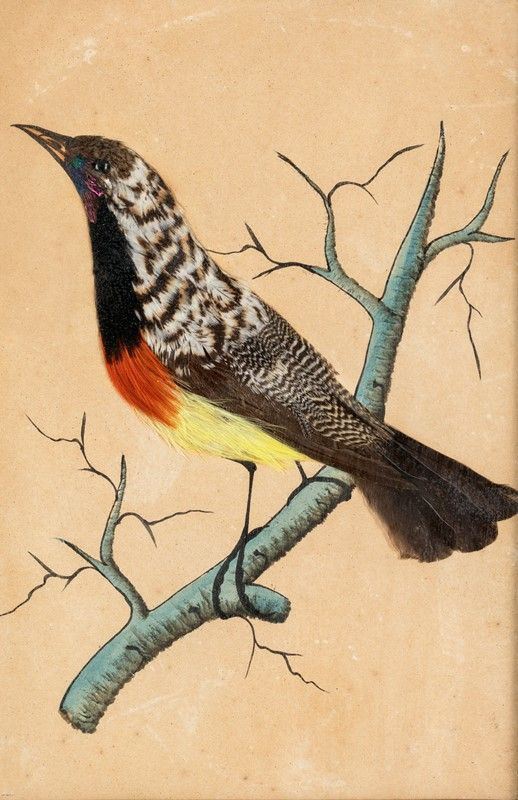 Quattro Composizioni con Uccelli