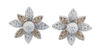 Orecchini in Oro Bianco