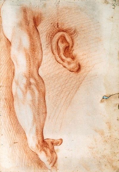 Coppia di Disegni