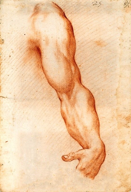 Scuola Italiana del XVIII Secolo - Coppia di Disegni
