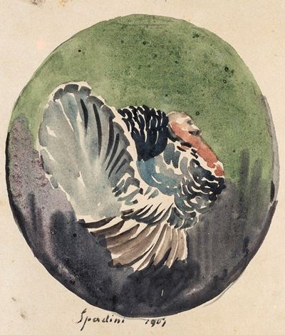 Tacchino
