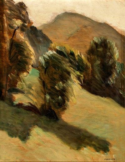 Paesaggio in Montagna