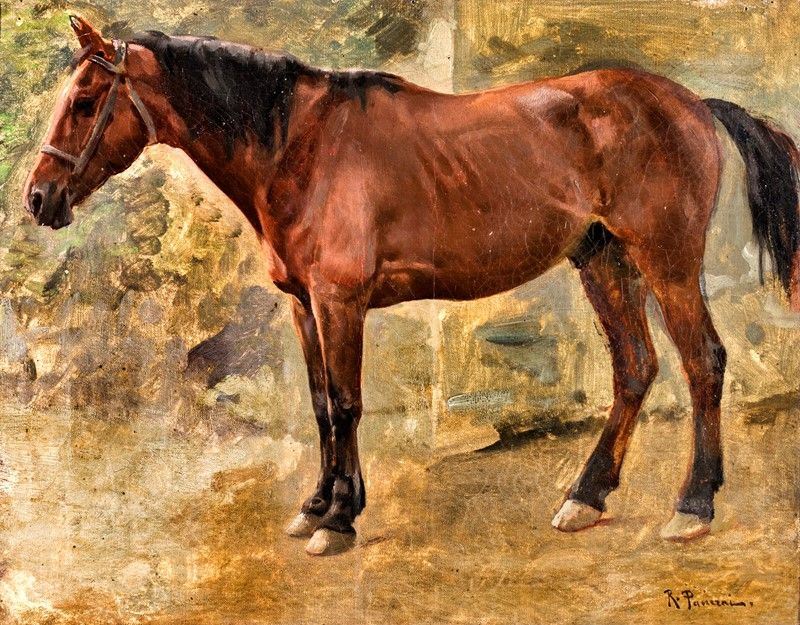 Ruggero Panerai - Cavallo