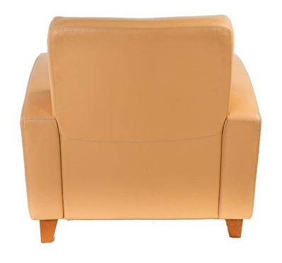 Coppia di Poltrone