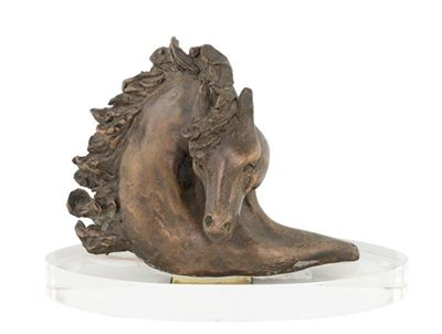Riconoscimento in Bronzo