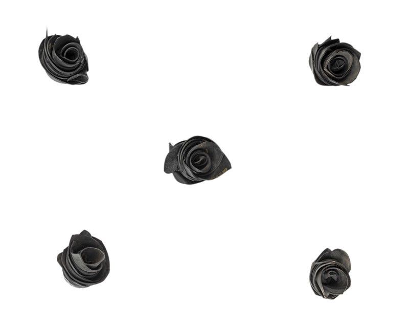 Paolo Canevari - Rose