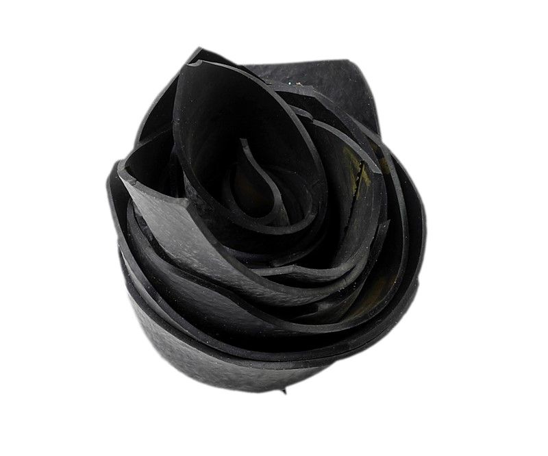Paolo Canevari - Rose