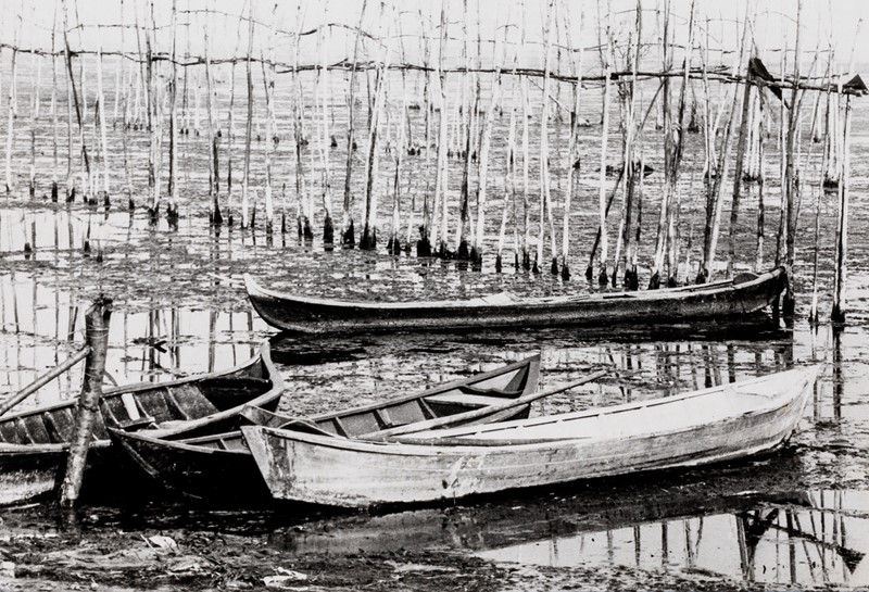 Harold Miller Null - Barche