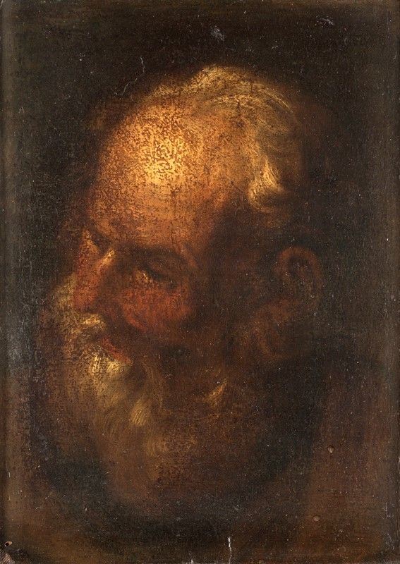 Pittore del XVII Secolo - Testa di Vecchio