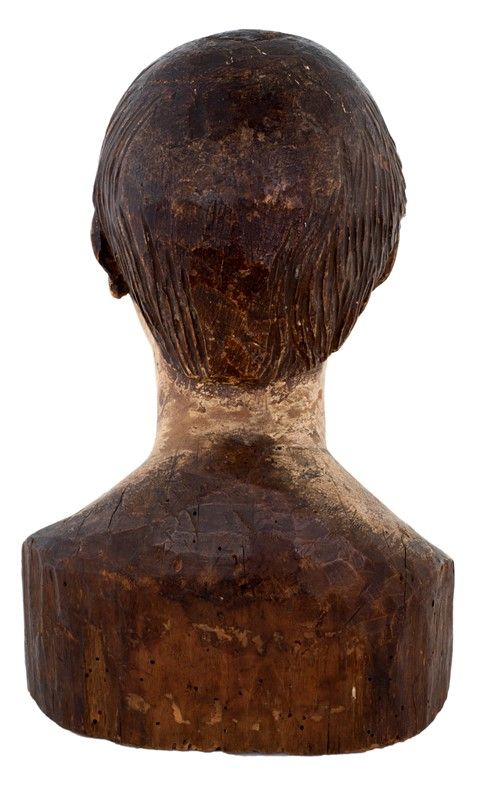 Testa di Giovane