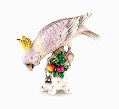 Pappagallo Cacatua