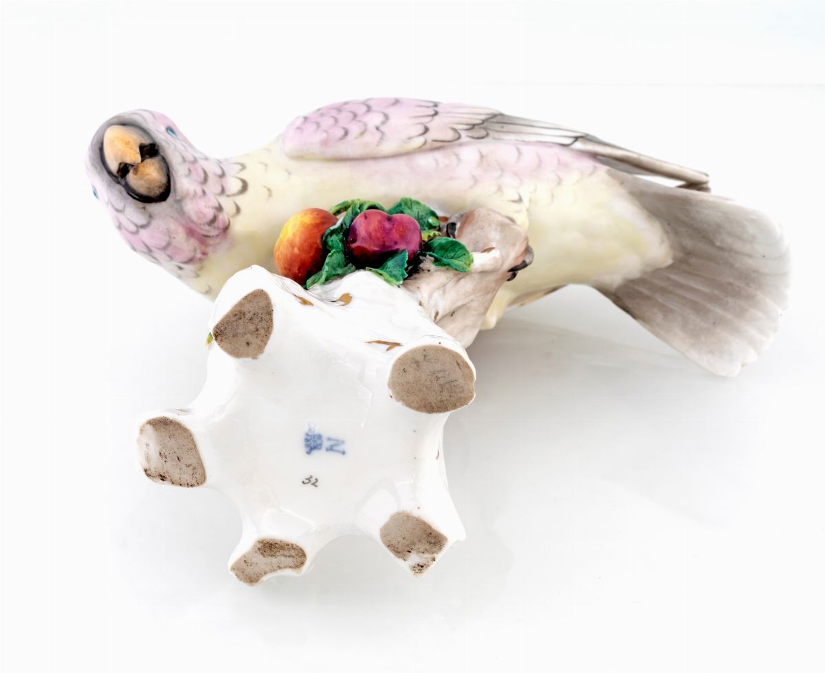 Pappagallo Cacatua