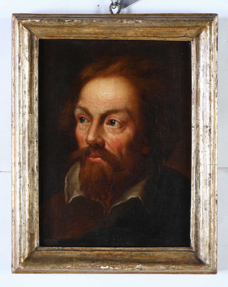 Scuola Fiamminga del XVII Secolo - Ritratto Virile