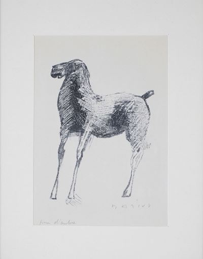 Cavallo