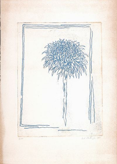 Girasole
