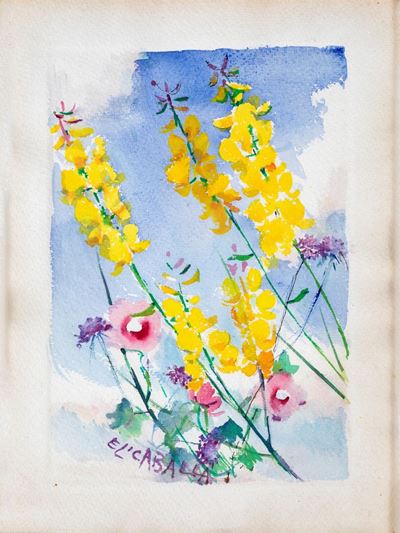 Fiori di Campo